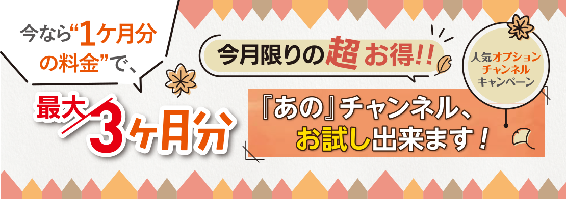 人気オプションチャンネルキャンペーン 今なら1ヶ月分の料金で最大3か月分 あのチャンネル、お試しできます